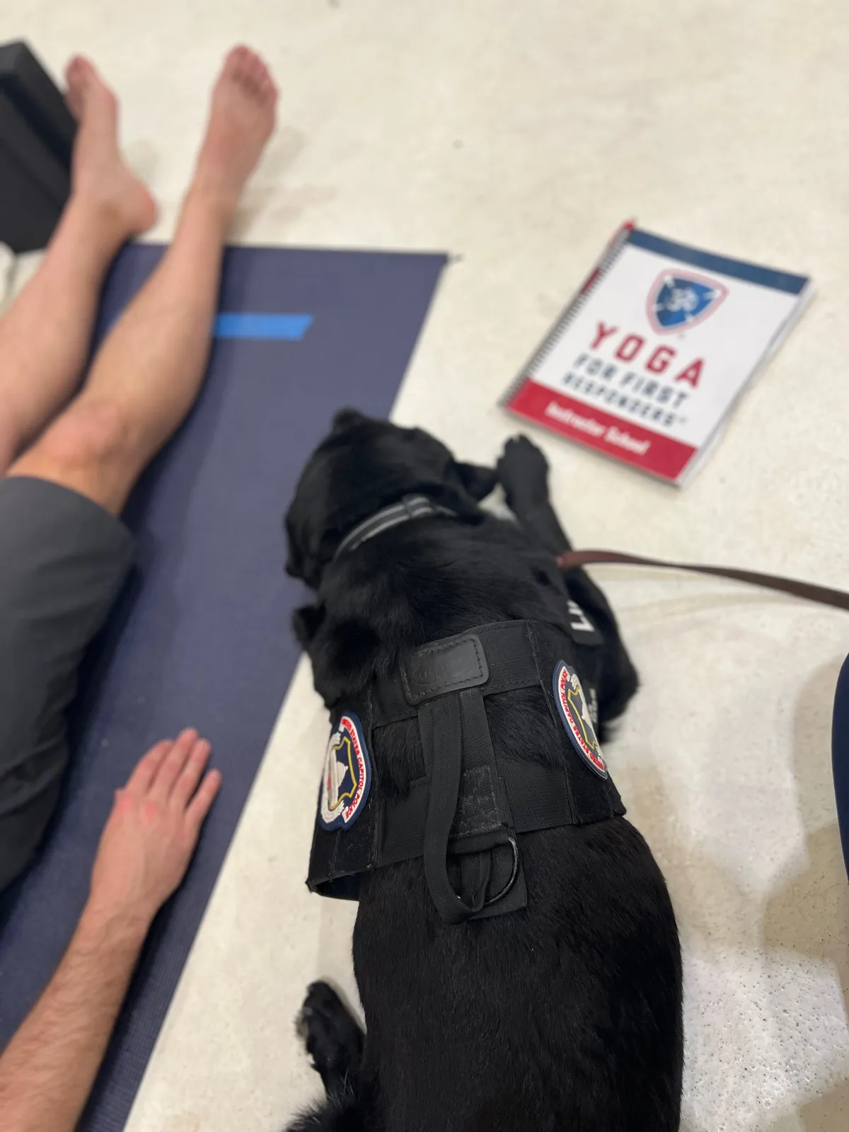 Black dog lies next to a yoga student on a yoga mat with a training manual on the floor in front of them